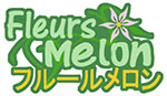 Fleurs Meron