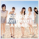 AKB48 - Labrador Retriever