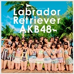AKB48 - Labrador Retriever